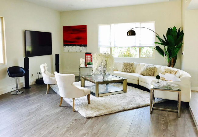 Living Room Furnishing